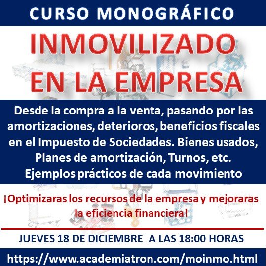 Curso Monográfico Inmovilizado en la Empresa