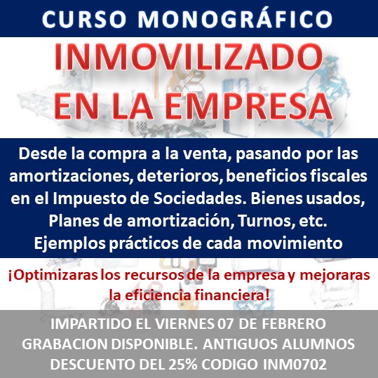Curso Monográfico Inmovilizado en la Empresa